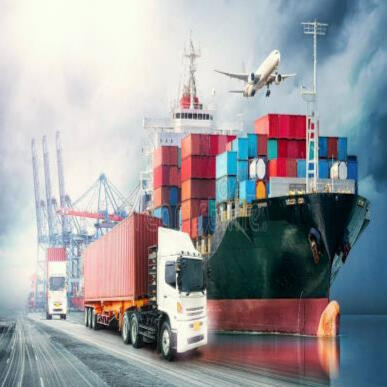 Kargo Domestik & Internasional